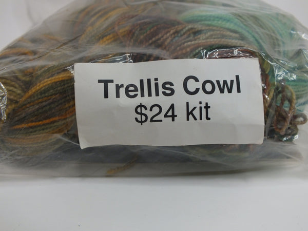 Koigu Lace Merino- Trellis Cowl Kit